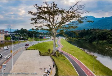 Prefeitura realiza ação preventiva de dedetização na Via Verde para combater pragas